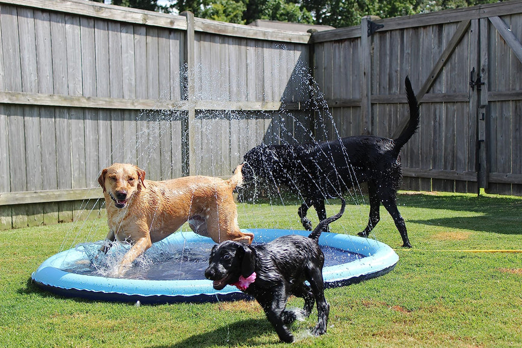 Beat the Heat: Why Every Dog Needs a SplootPuppy Dog Splash Pad This Summer