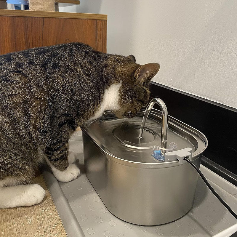 Stainless Steel Faucet Shape Cat Water Fountain