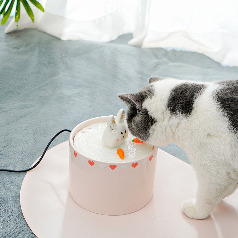 Rabbit & Carrot Pet Water Fountain