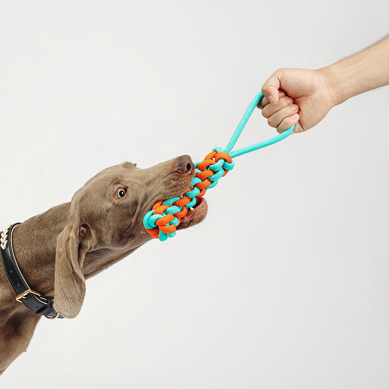 Contrasting Color Braided Rope Dog Toys