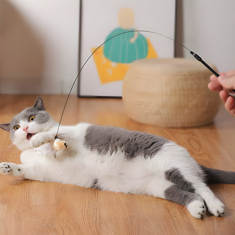 Free Monthly Gift - Interactive Bird Simulation Feather Cat Toy