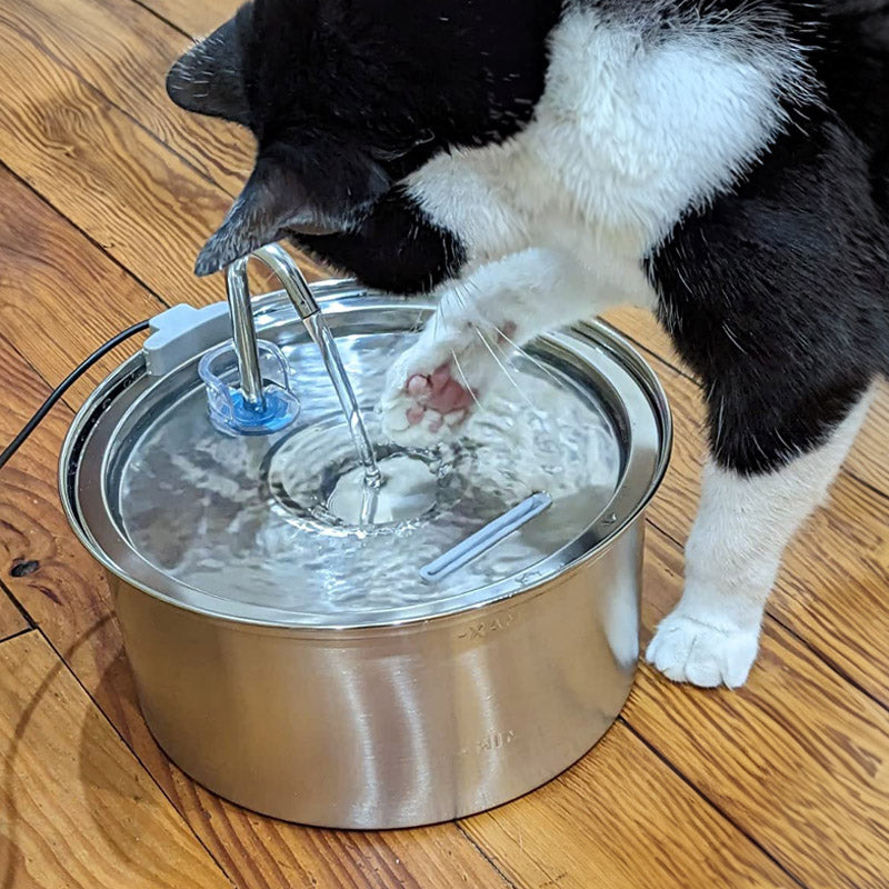 Stainless Steel Faucet Cat Water Fountain