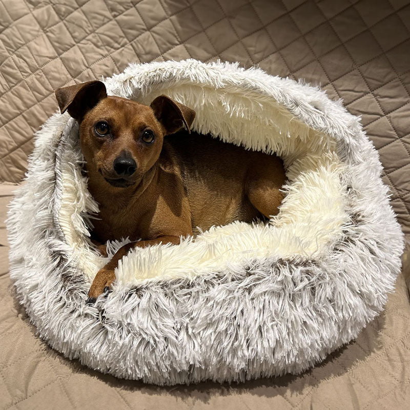 Fluffy Cave Pet Bed