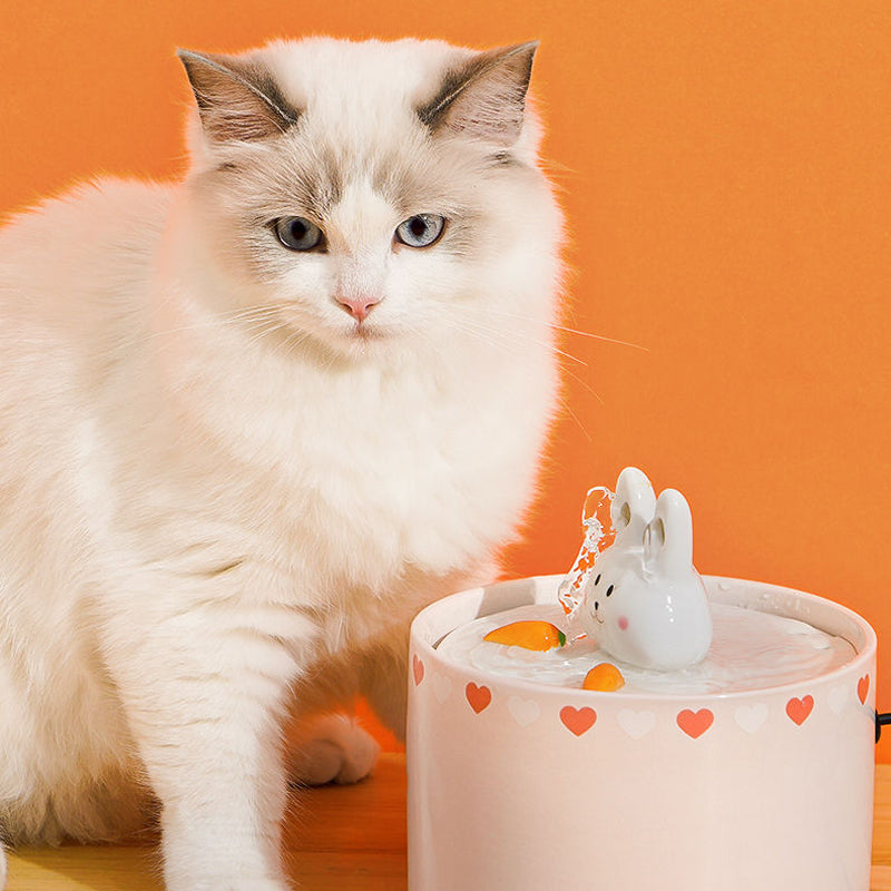 Rabbit & Carrot Pet Water Fountain