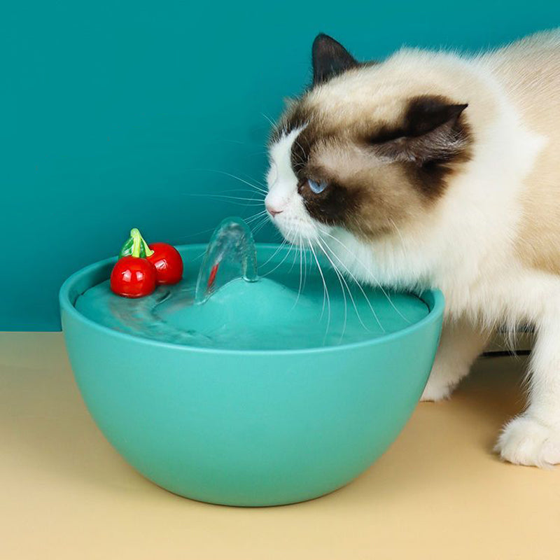 Cherry Pet Water Fountain