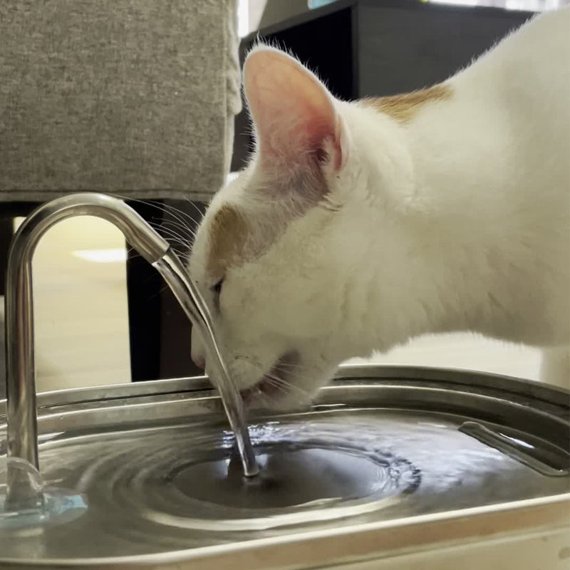 Stainless Steel Faucet Shape Cat Water Fountain