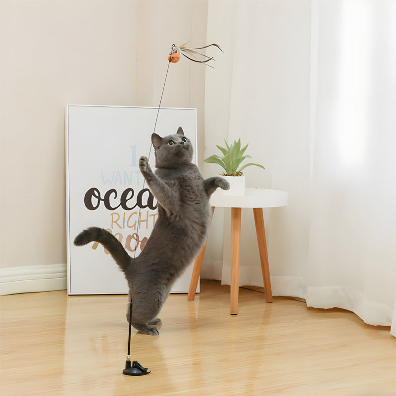 Free Monthly Gift - Interactive Bird Simulation Feather Cat Toy