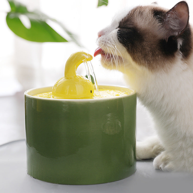 Rabbit Pet Water Fountain