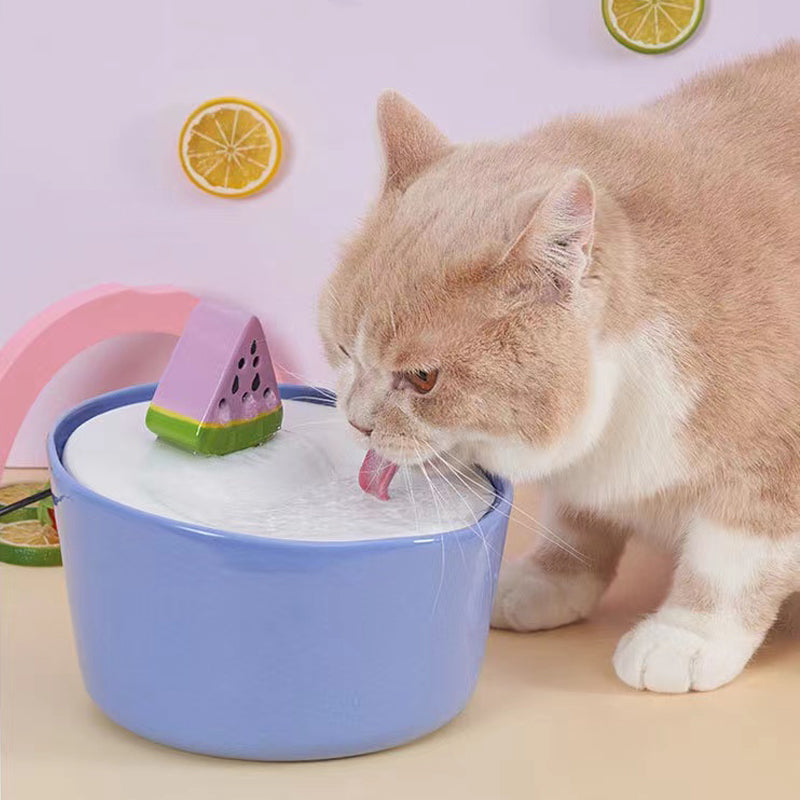 Watermelon Pet Water Fountain