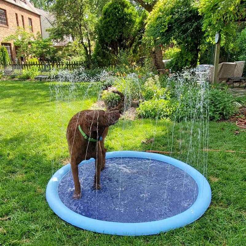 SplootPuppy Splash Pad