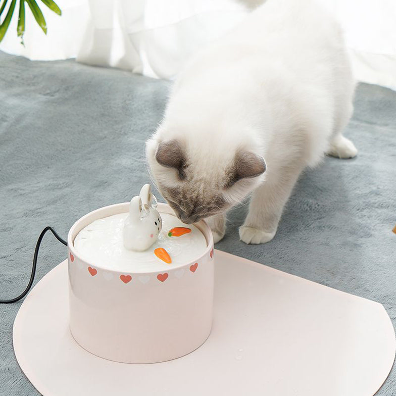 Rabbit & Carrot Pet Water Fountain