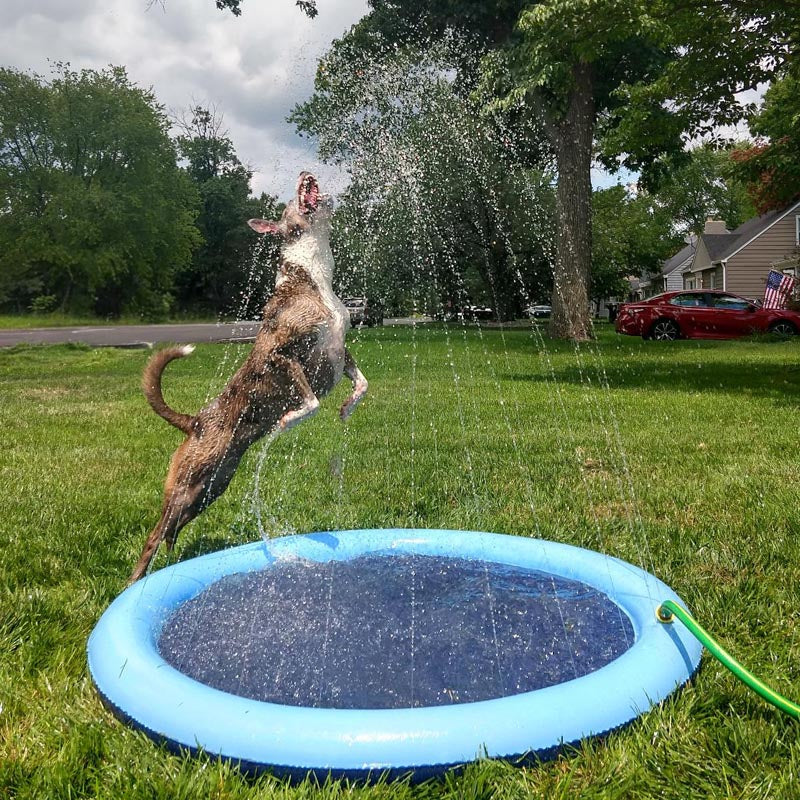 SplootPuppy Splash Pad