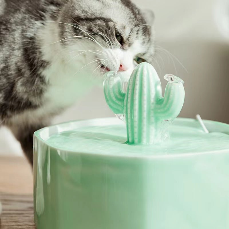 Cactus Style Pet Water Fountain