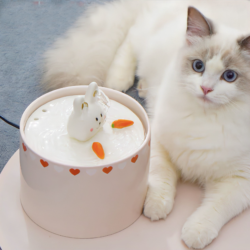 Rabbit & Carrot Pet Water Fountain