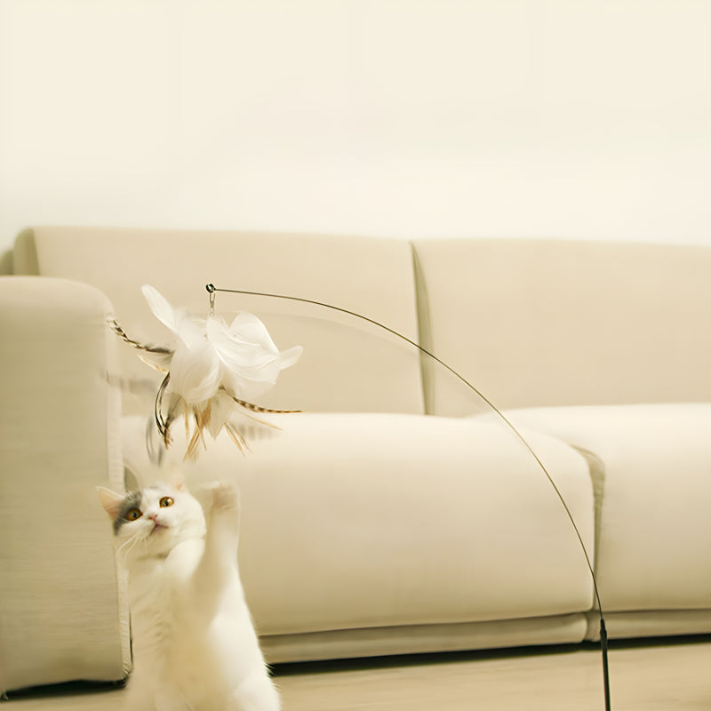 Free Monthly Gift - Interactive Bird Simulation Feather Cat Toy