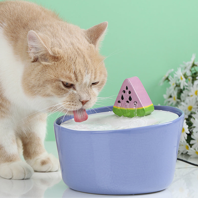 Watermelon Pet Water Fountain