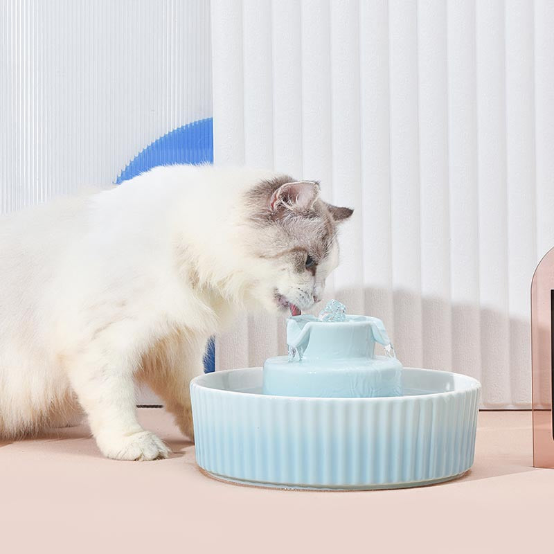 Cupcake Pet Water Fountain