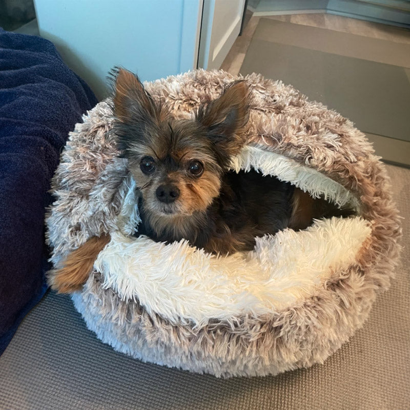 Fluffy Cave Pet Bed