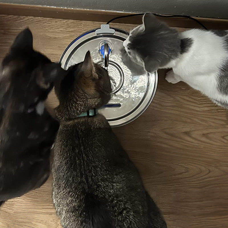 Stainless Steel Faucet Cat Water Fountain