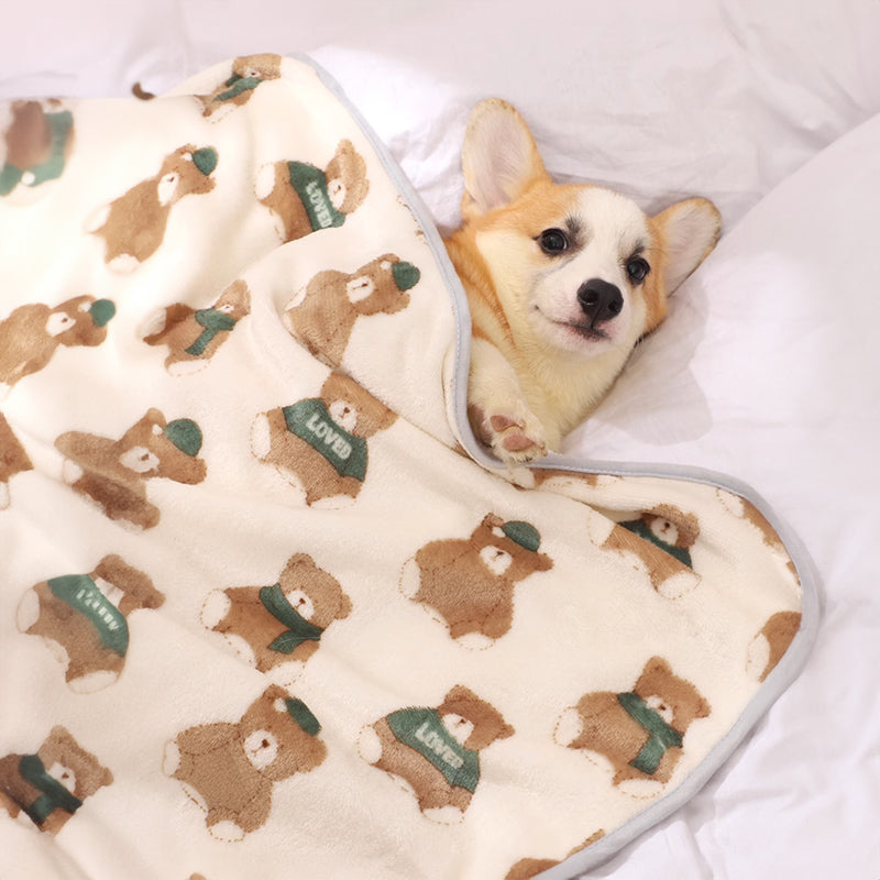 Free Monthly Gift - Super Soft Cartoon Cat Dog Blanket