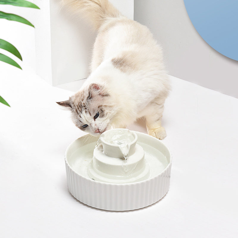 Cupcake Pet Water Fountain