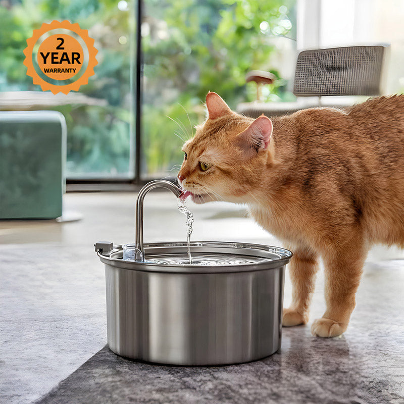 Stainless Steel Faucet Cat Water Fountain