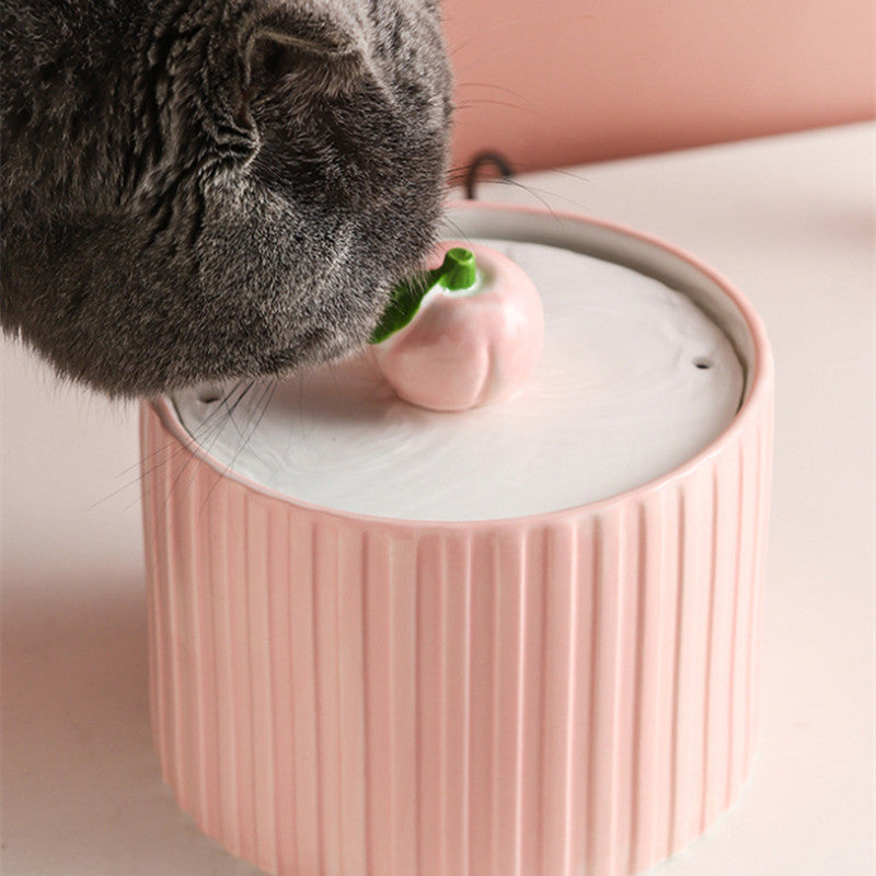 Peach Pet Water Fountain