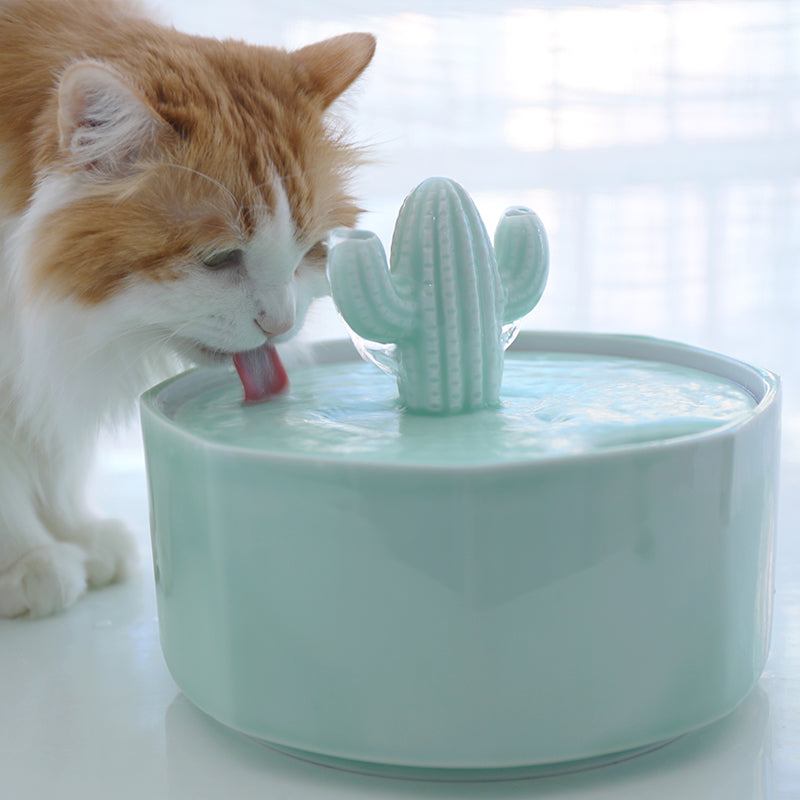 Cactus Style Pet Water Fountain