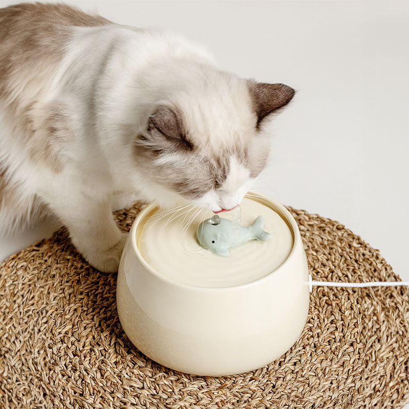 Little Whale Pet Water Fountain