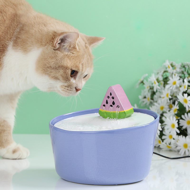 Watermelon Pet Water Fountain