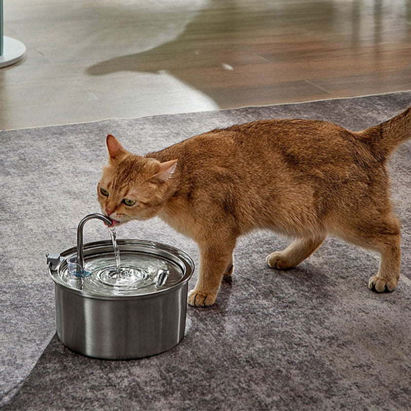 Stainless Steel Faucet Cat Water Fountain