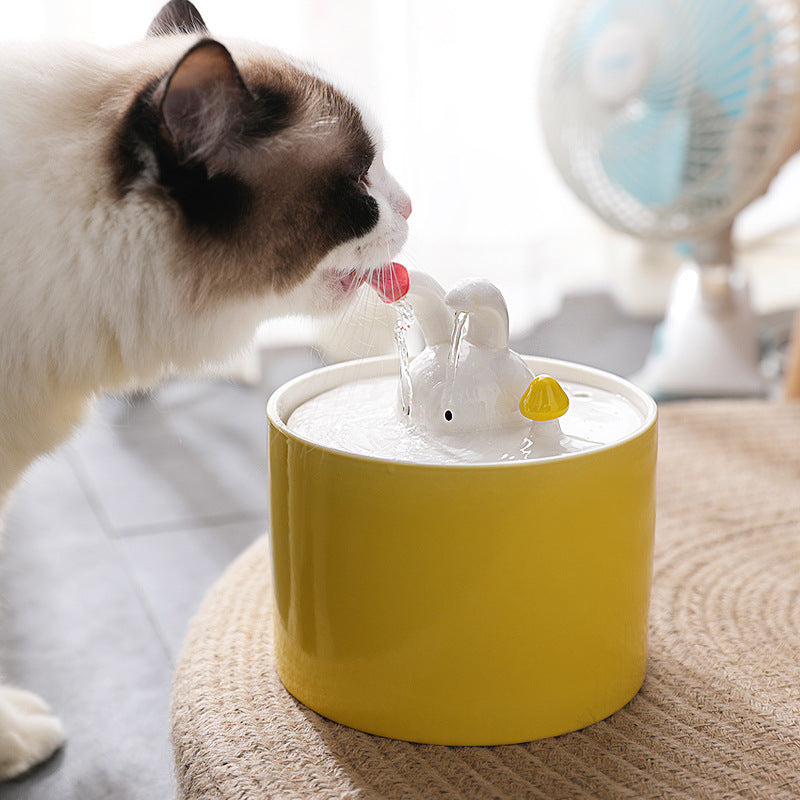 Rabbit Pet Water Fountain