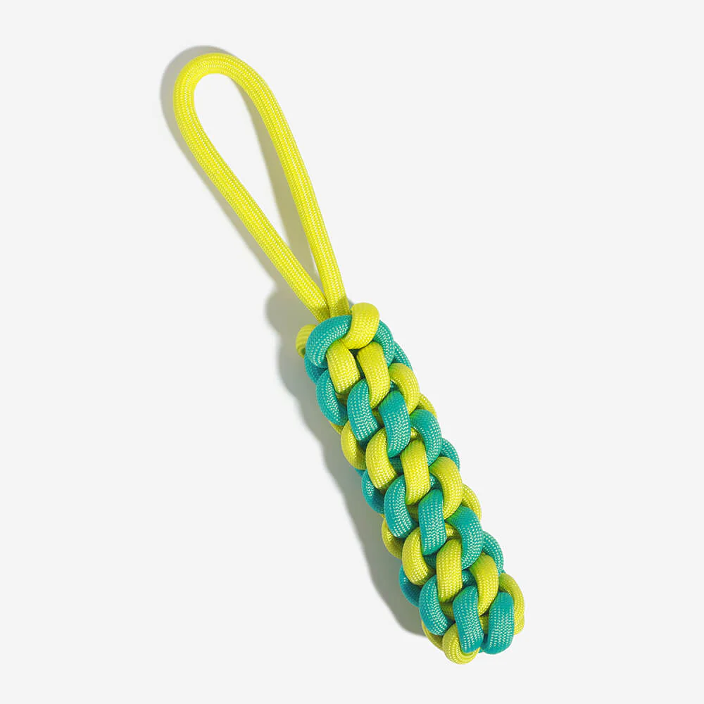 Free Monthly Gift - Contrasting Color Braided Rope Dog Toys