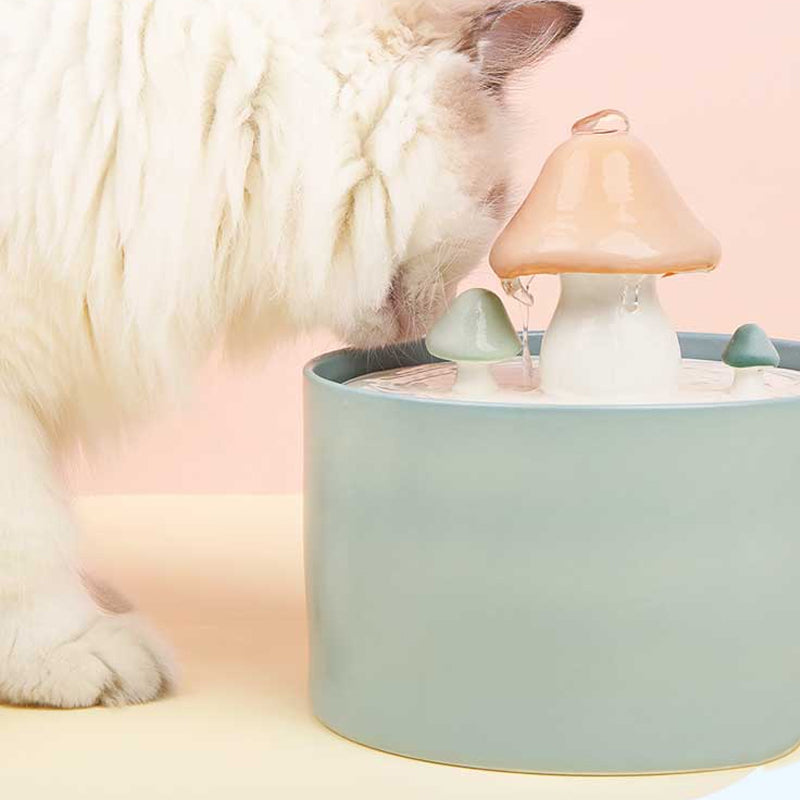 Mushroom Pet Water Fountain