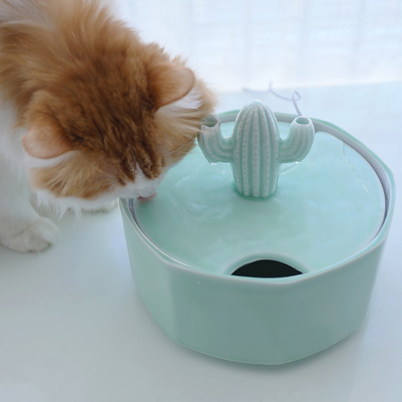 Cactus Style Pet Water Fountain