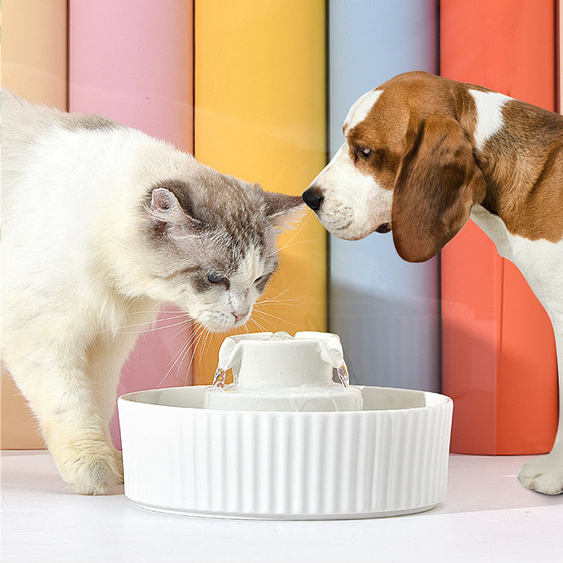 Cupcake Pet Water Fountain